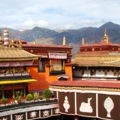 07nights 08days lhasa tibet tour37