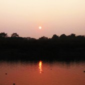 3 nights and 4 days chitwan tour67