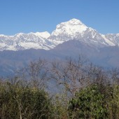 annapurna sanctuary trek14