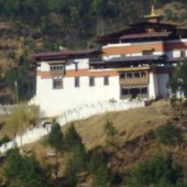 bhutan land of thunder dragon tour84