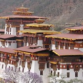 instant tour of bhutan49