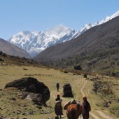 langtang helambu trek mountain flight jungle safari34