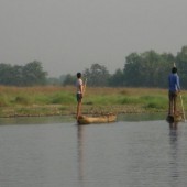 one night two days chitwan tour13